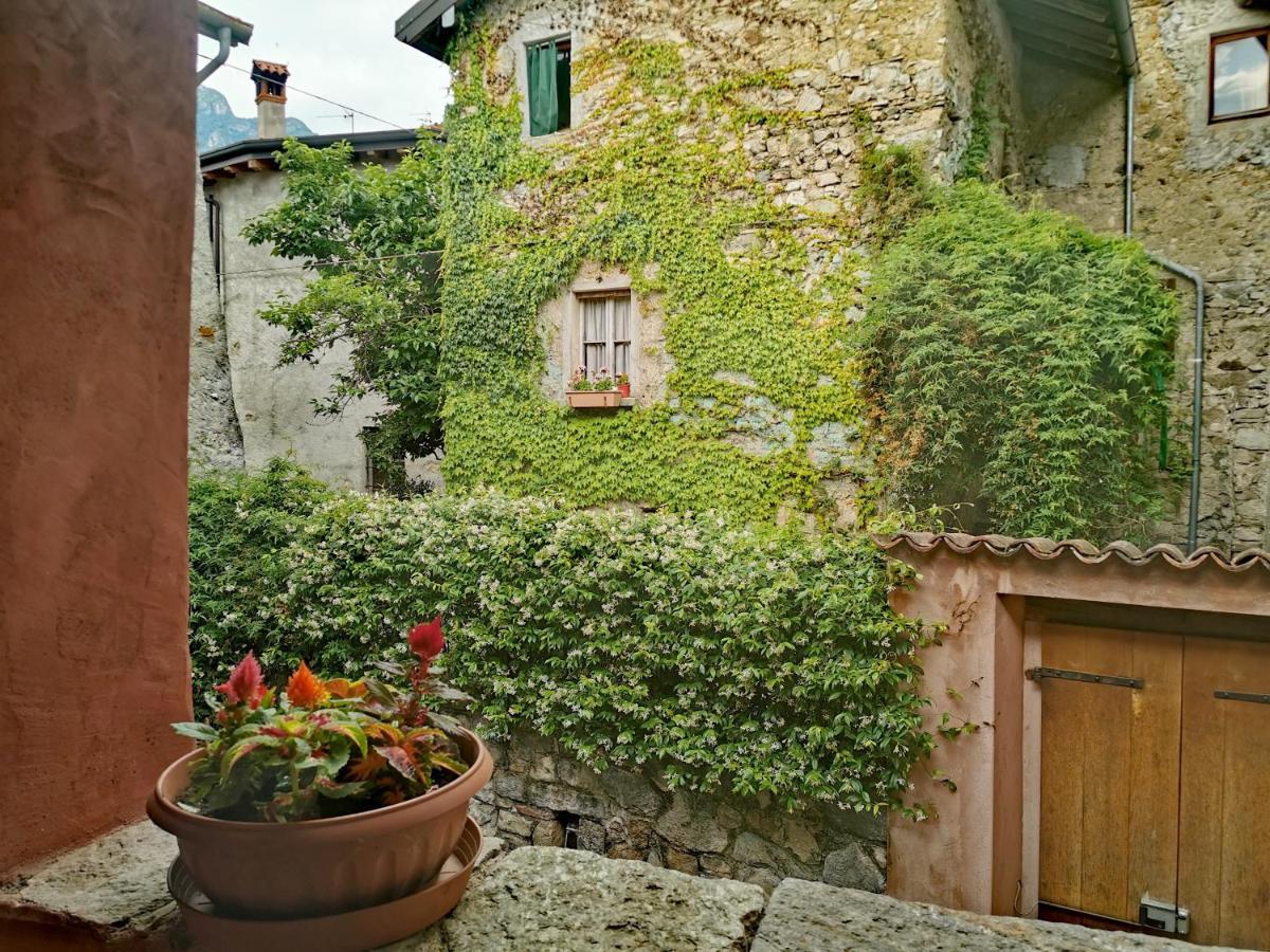 Alla Torre Del Barbarossa B&B Foresteria Mandello del Lario Zewnętrze zdjęcie